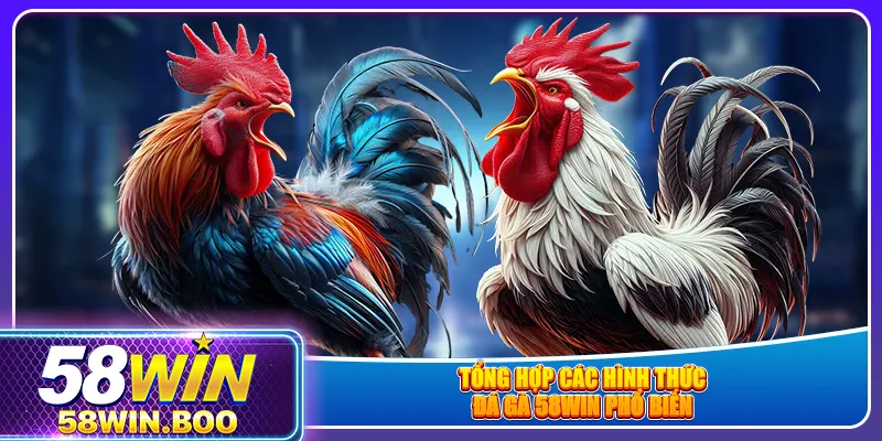Tổng hợp các hình thức đá gà 58win phổ biến